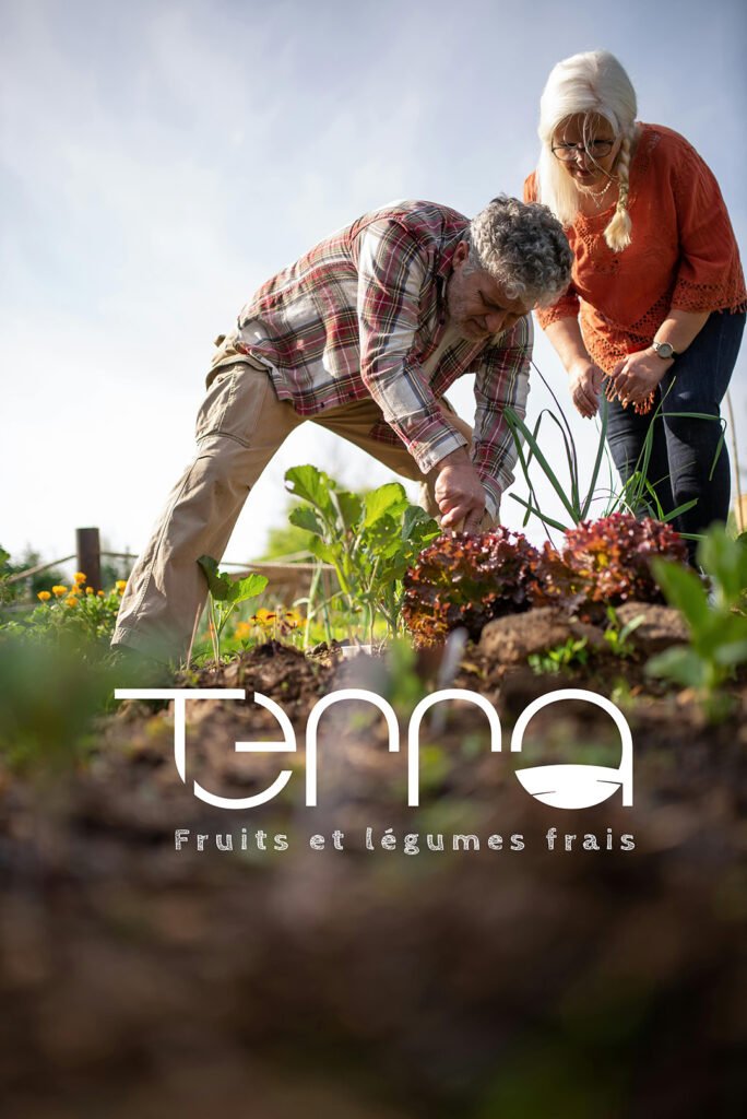 identité visuelle de la récolte pour un producteur de légumes